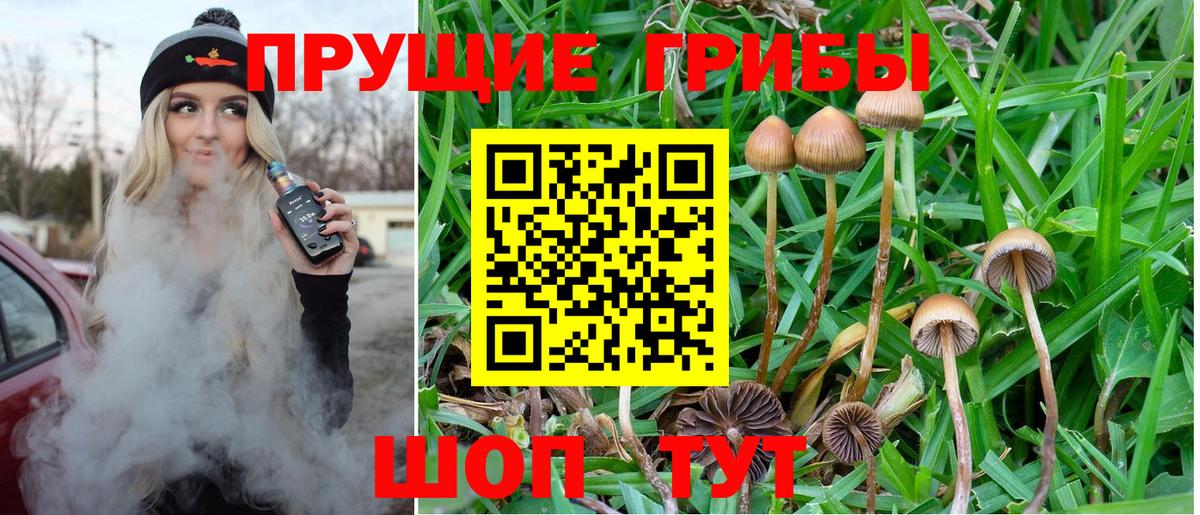 цена   Вход с VPN  Бахчисарай  Галлюциногенные грибы Cubensis 
