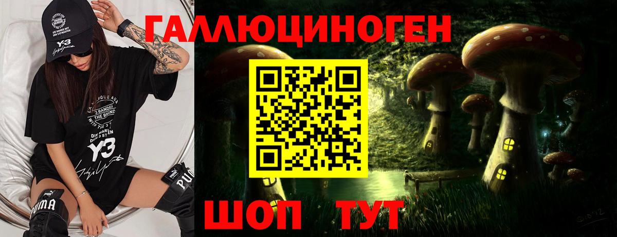 Галлюциногенные грибы GOLDEN TEACHER Бахчисарай